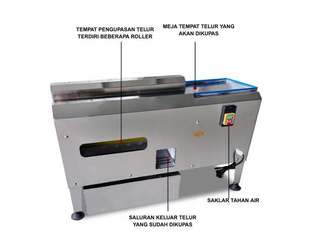 Fully Automatic Egg Peeling Machine AEP-FA93