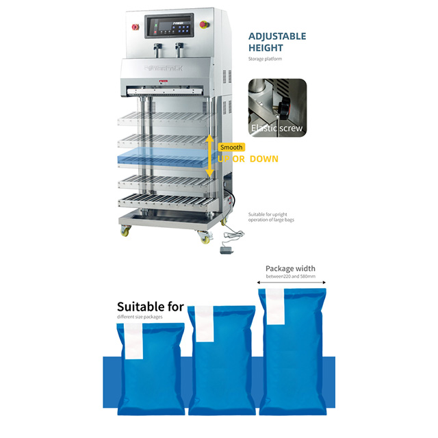 External Vacuum Packaging Machine DZ-600L