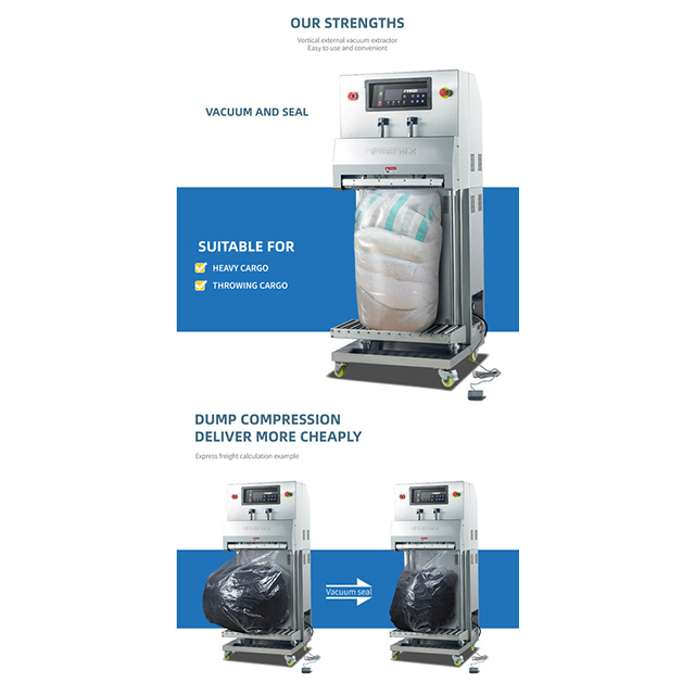 External Vacuum Packaging Machine DZ-600L