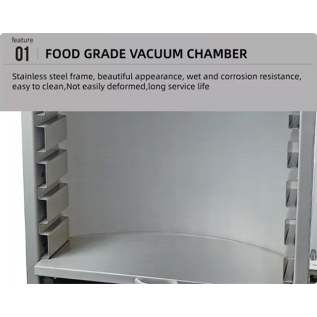 Vertical Chamber Vacuum Packaging DZL-600