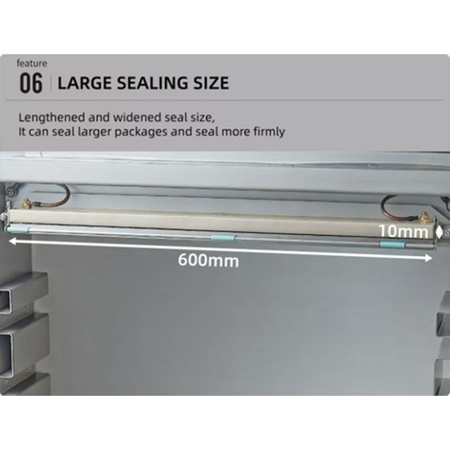 Vertical Chamber Vacuum Packaging DZL-600