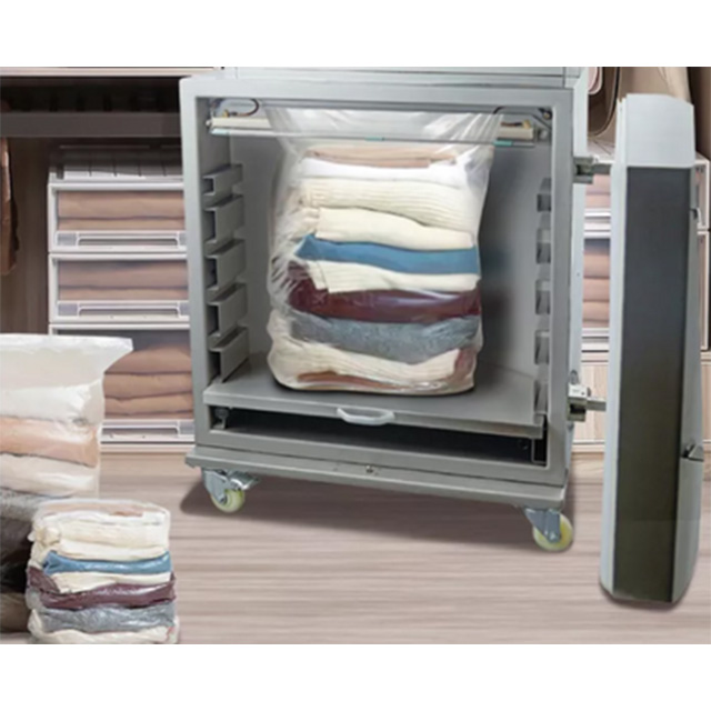 Vertical Chamber Vacuum Packaging DZL-600