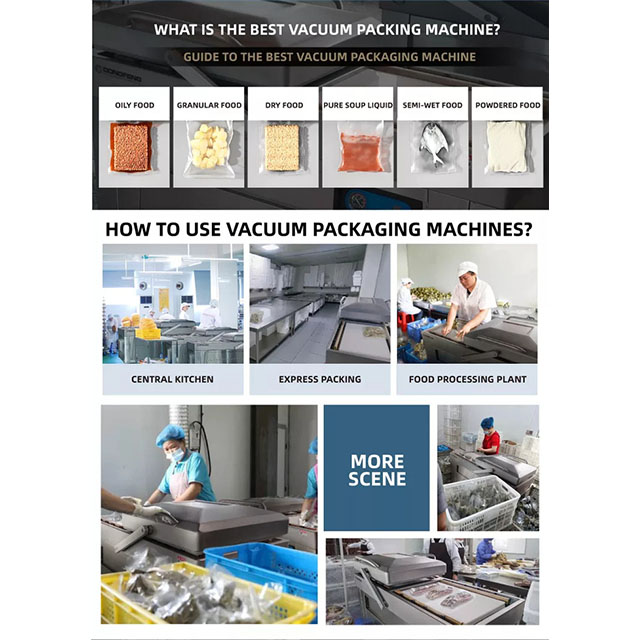 Double Chamber Vacuum Packaging Machine DZQ-400/2SA