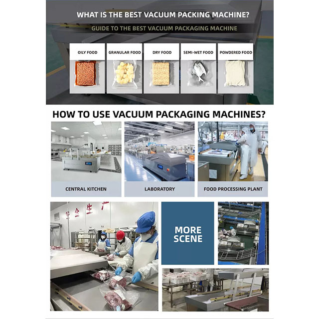 Double Chamber Vacuum Packaging Machine DZQ-850/2SA 2200 Watt