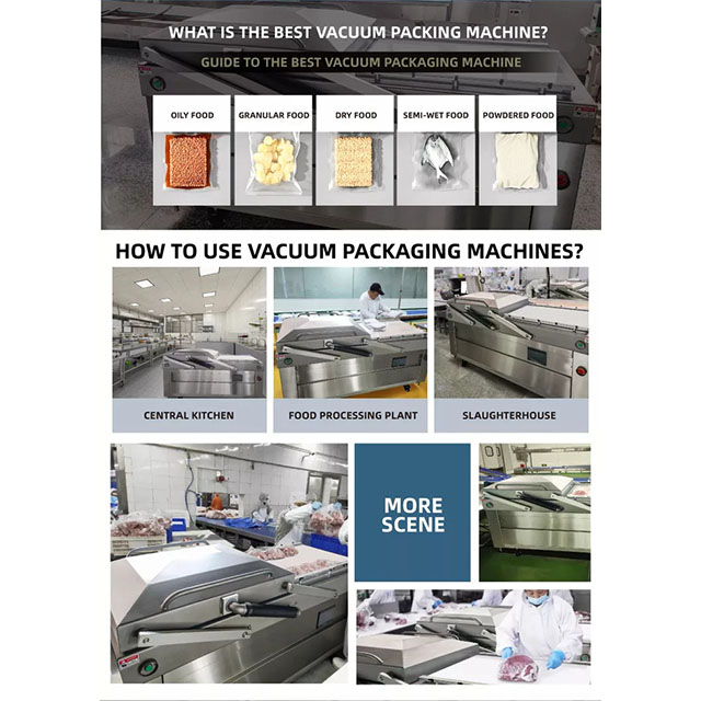 Double Chamber Vacuum Packaging Machine with Pneum DZQ-850/2SE