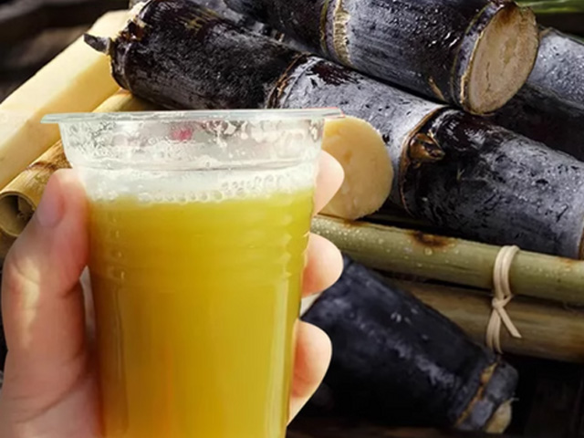 Sugar Cane Juicer SCP-L100