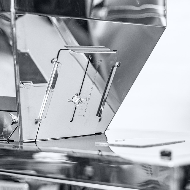 Particle Weighing Filling Machine WM-3000G