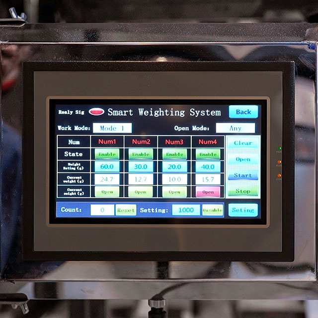 Particle Weighing Filling Machine WM-500G4HCM