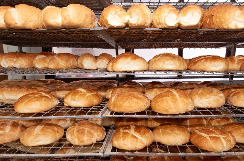 Oven Deck Adalah Peralatan Penting untuk Bisnis Bakery Profesional