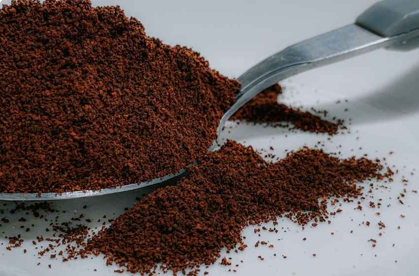 Bisnis Kopi Kintamani: Dari Roastery hingga Kopi Siap Jual