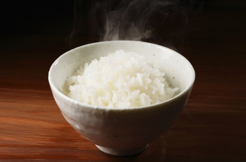 Supplier Mesin Dapur MBG Medan: Kenalan dengan Rice Steaming Cart Fomac di Showroom Medan