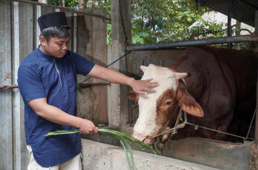 Meat Slicer untuk Idul Adha: Solusi Cepat Potong Daging Kurban Lebih Rapi & Higienis