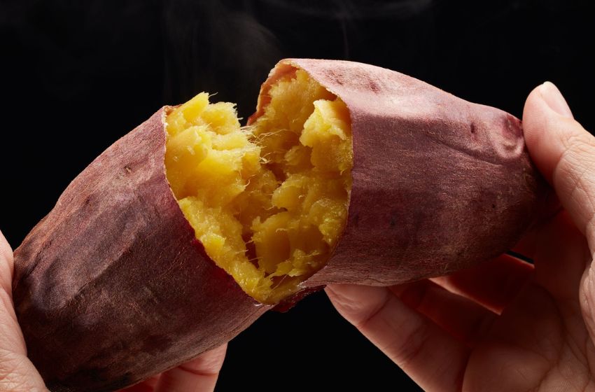 Oven Gas Ubi Cilembu: Rahasia Membuat Ubi Madu Legit untuk Jualan dan Usaha Kuliner