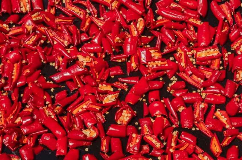 Mau Produksi Sambal dalam Jumlah Banyak? Ini Peralatan yang Dibutuhkan