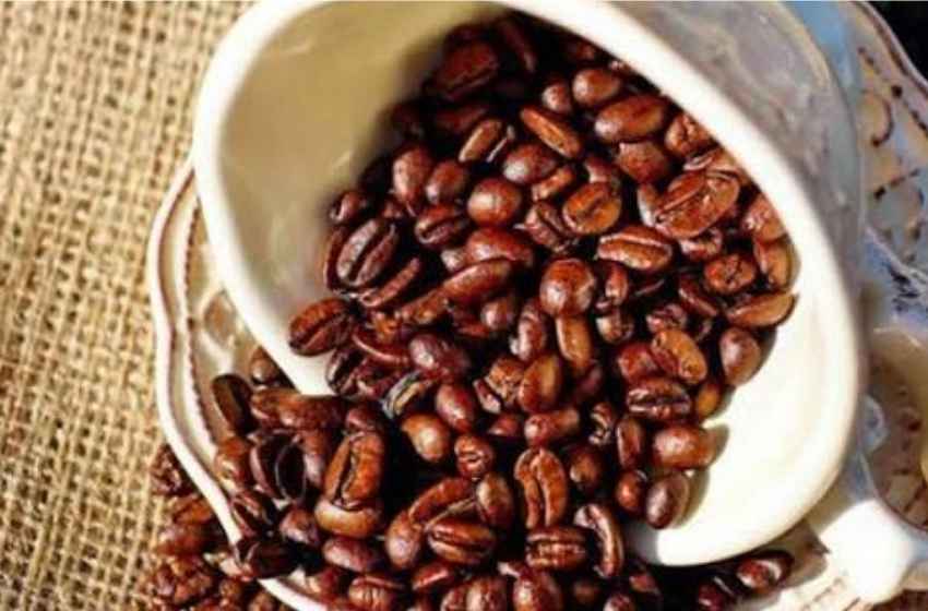 Dari Biji Kopi Kintamani ke Produk Siap Jual: Apa Saja Tahapnya?