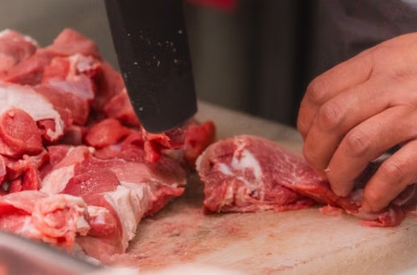 BMR-E22M Bone Meat Saw FOMAC untuk Usaha Pengolahan Daging di Medan Potong Tulang Lebih Cepat dan Presisi