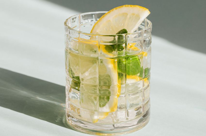 Mojito Mint merupakan minuman olahan dari buah jeruk